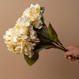 Faux Cream Hydrangea Stem