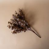 Faux Brown Eucalyptus Bush - Rug & Weave
