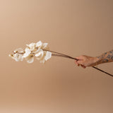 Faux Sweet Pea Stem