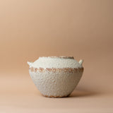 Aged Stoneware Vase with Handles