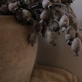 Dried Berry Branch faux stem Indaba