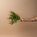 Faux Juniper Bush
