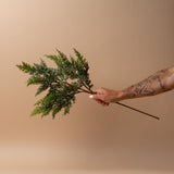 Faux Eastern Red Cedar Branch