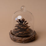 Glass Cloche with Woven Willow Base