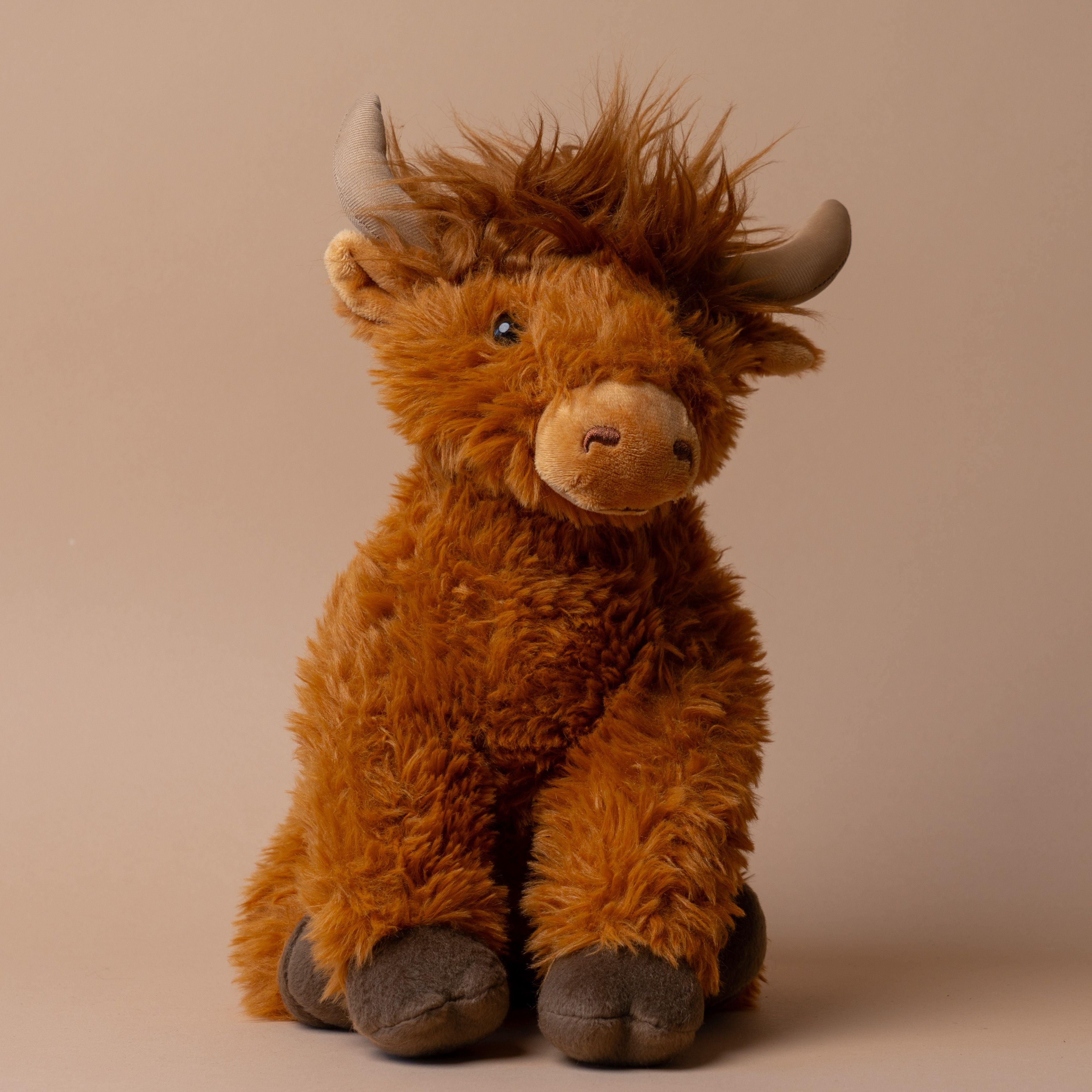 Charlie the Highland Cow