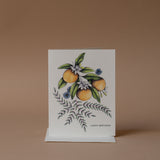 Oranges & Flowers Card greeting card Inkwell Cards (Faire)