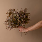 Faux Burgundy Ivy Spray faux stem Indaba