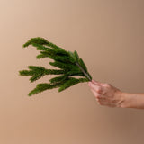 Faux Spruce Stem
