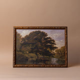 "Beneath the Old Canopy" Framed Canvas Print