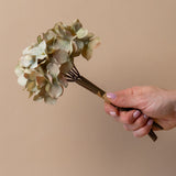 Faux Green Hydrangea Stem faux stem Indaba