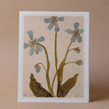 "Blue Geranium" by Cocoshalom ARTWORK - print Cocoshalom (Faire)