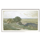 Olive Tree Landscape Framed Art Print - Rug & Weave