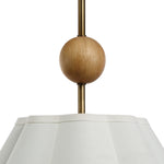 Rian Ceiling Pendant LIGHTING - pendant Renwil
