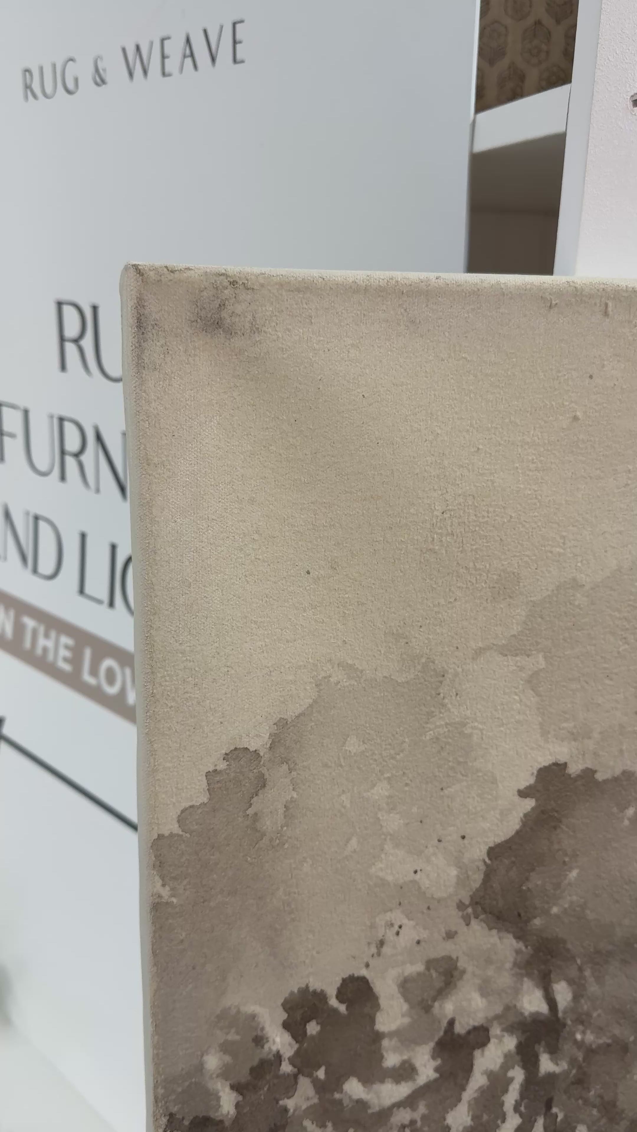 FLOOR MODEL - "Woodland Calm" Framed Canvas Set ARTWORK - in store Renwil