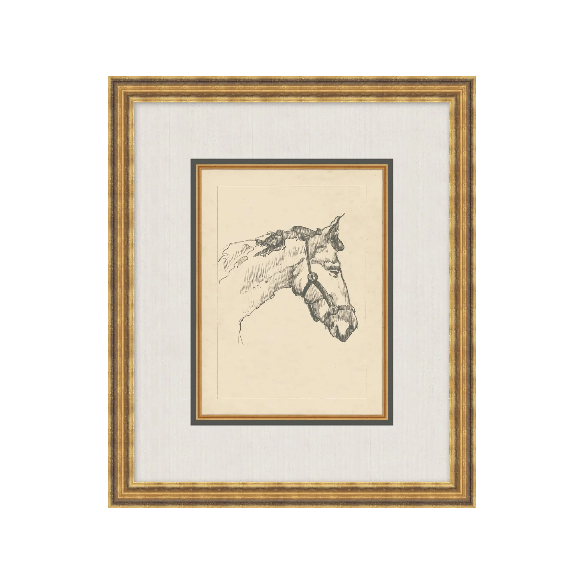 "Horse Sketch" Framed Art Print, Horse Sketch I