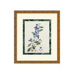 "Measured Beauty" Framed Art Print ARTWORK - framed art Wendover Art Group