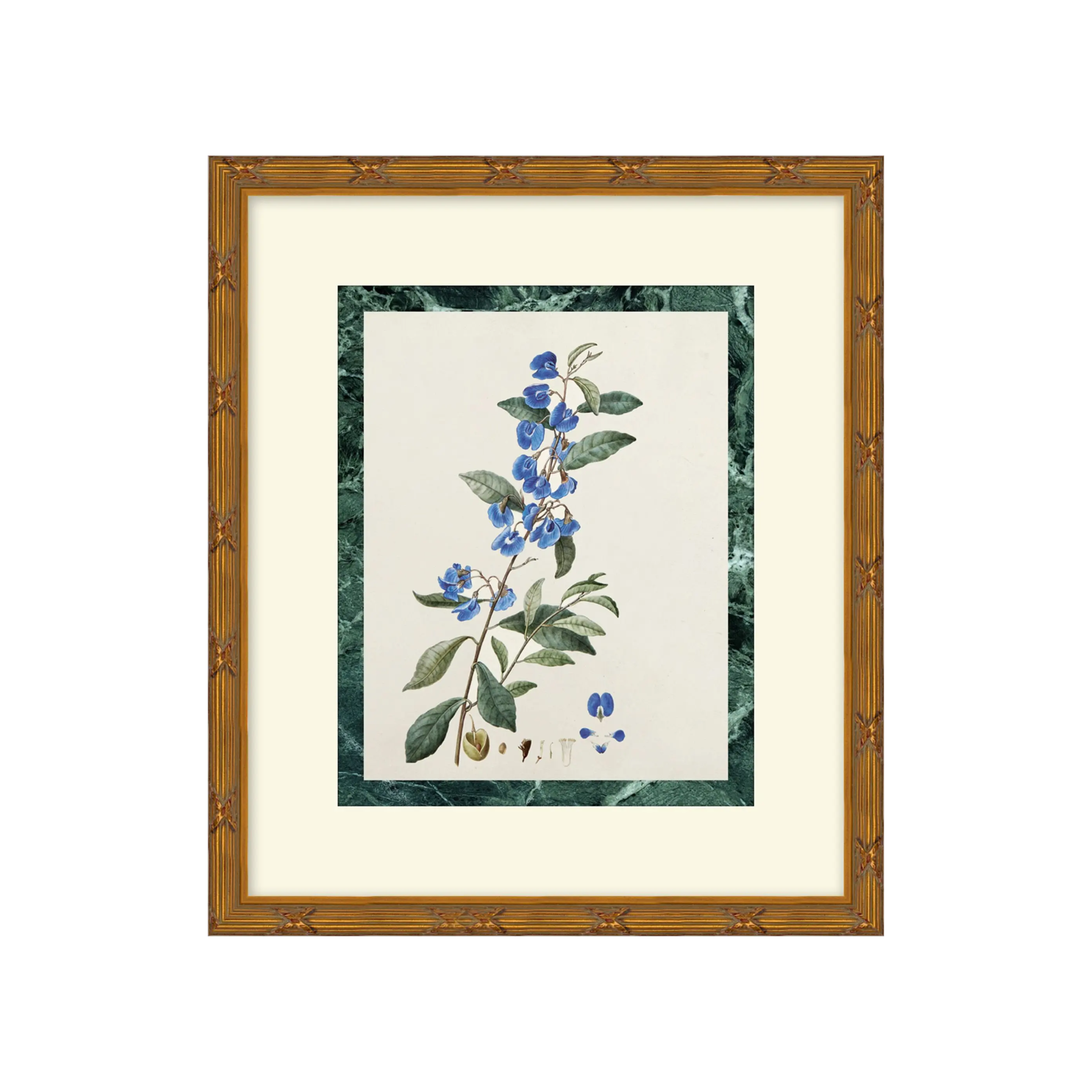 "Blossoms" Framed Art Print