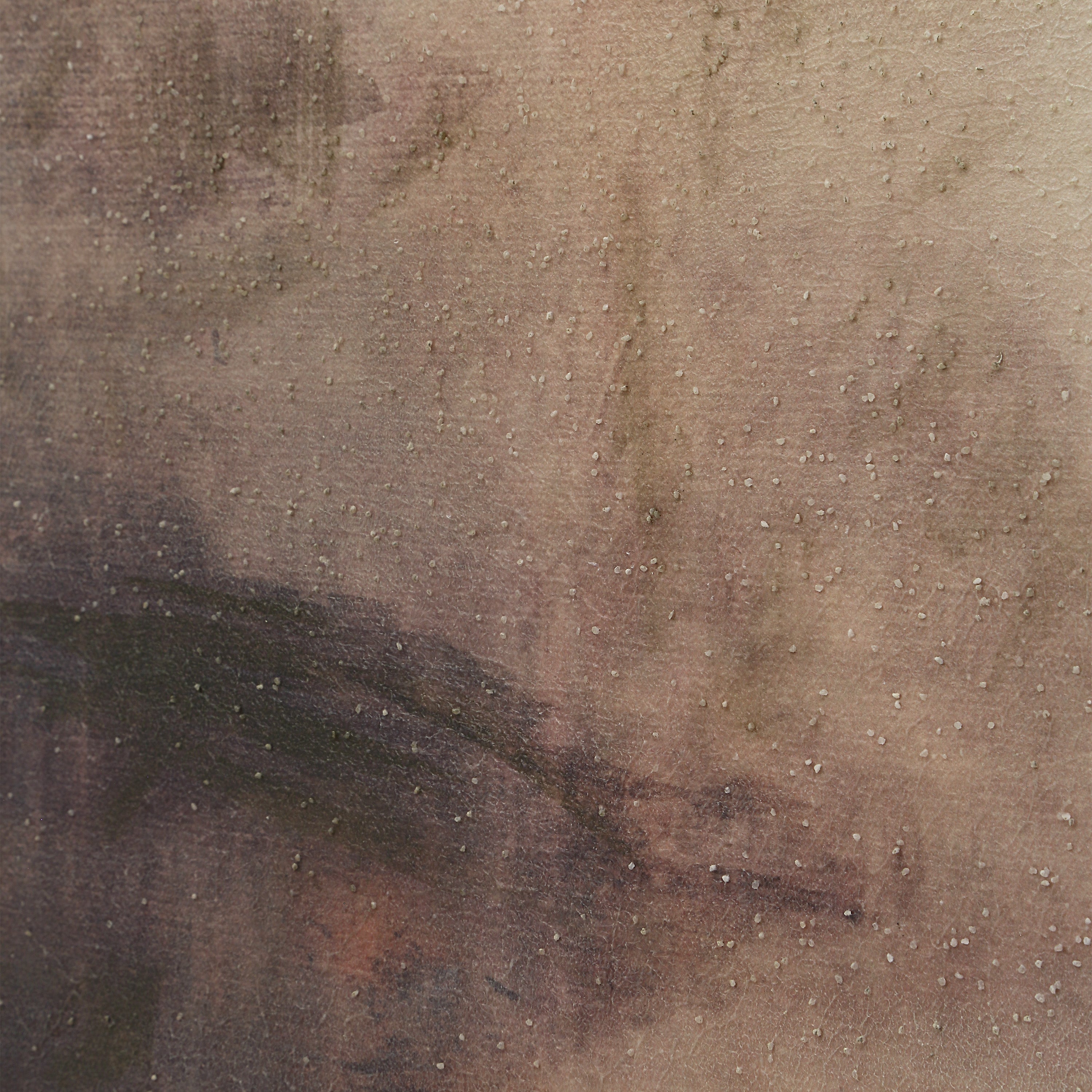 Ondine Canvas Artwork ARTWORK - framed art Renwil