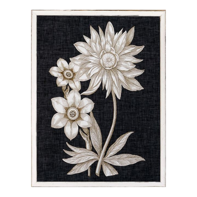 "Fine Botanicals I" Framed Art Print - Rug & Weave