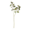 Silver Dollar Eucalyptus Branch - Rug & Weave