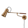 Novel Plug-In Sconce