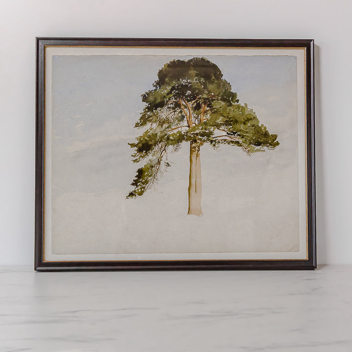 "Watercolour Fir Tree" Framed Art Print - Rug & Weave