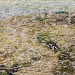 Amber Lewis x Loloi Dume Framed Art - Rug & Weave