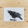"Talking Crow" by Kate Mullins - Rug & Weave