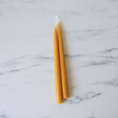Classic 12" Taper Candles - Honey - Rug & Weave
