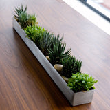 Gus* Modern Plant Trough - Rug & Weave