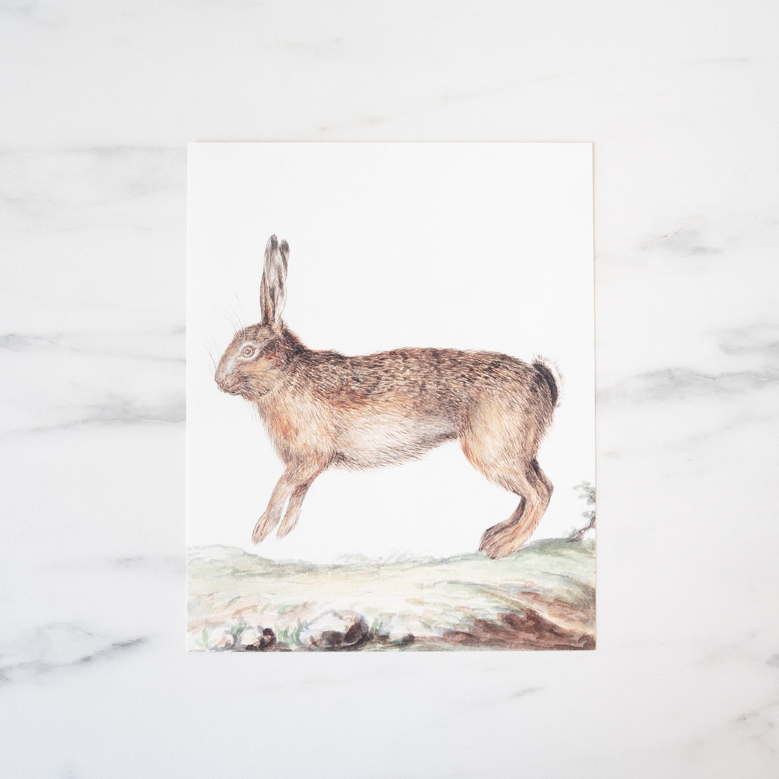 Hopping Bunny Art Print - Rug & Weave