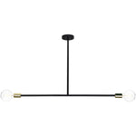 Perry Black Steel & Brass Pendant Light - Rug & Weave