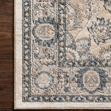 Loloi Teagan Natural / Lt. Grey Rug - Rug & Weave