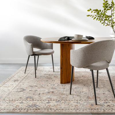 Becki Owens Davina Taupe Rug