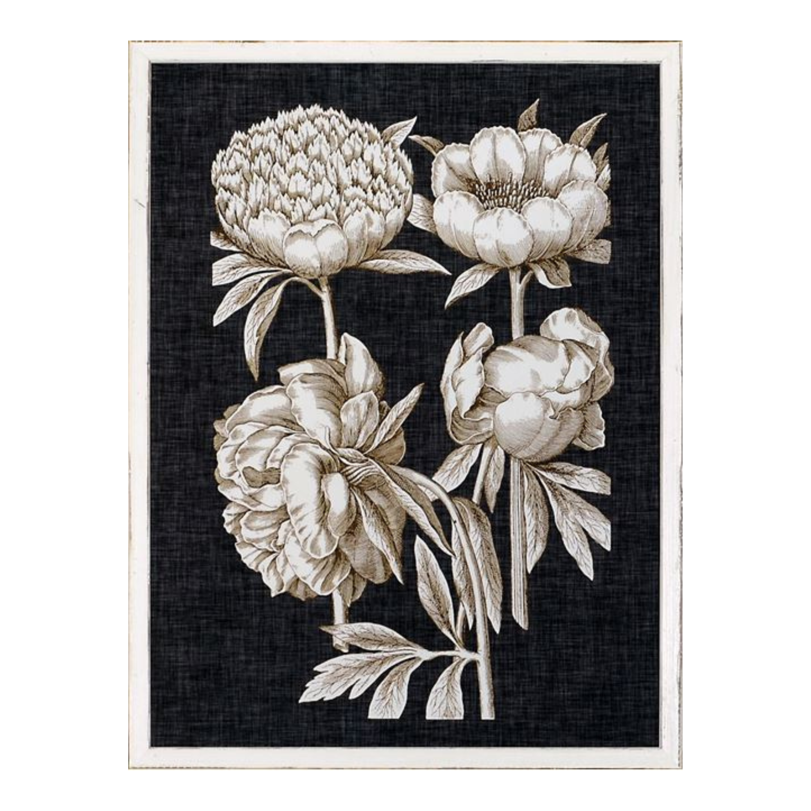 "Fine Botanicals II" Framed Art Print