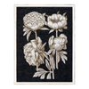 "Fine Botanicals II" Framed Art Print - Rug & Weave