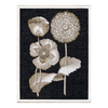"Fine Botanicals III" Framed Art Print - Rug & Weave