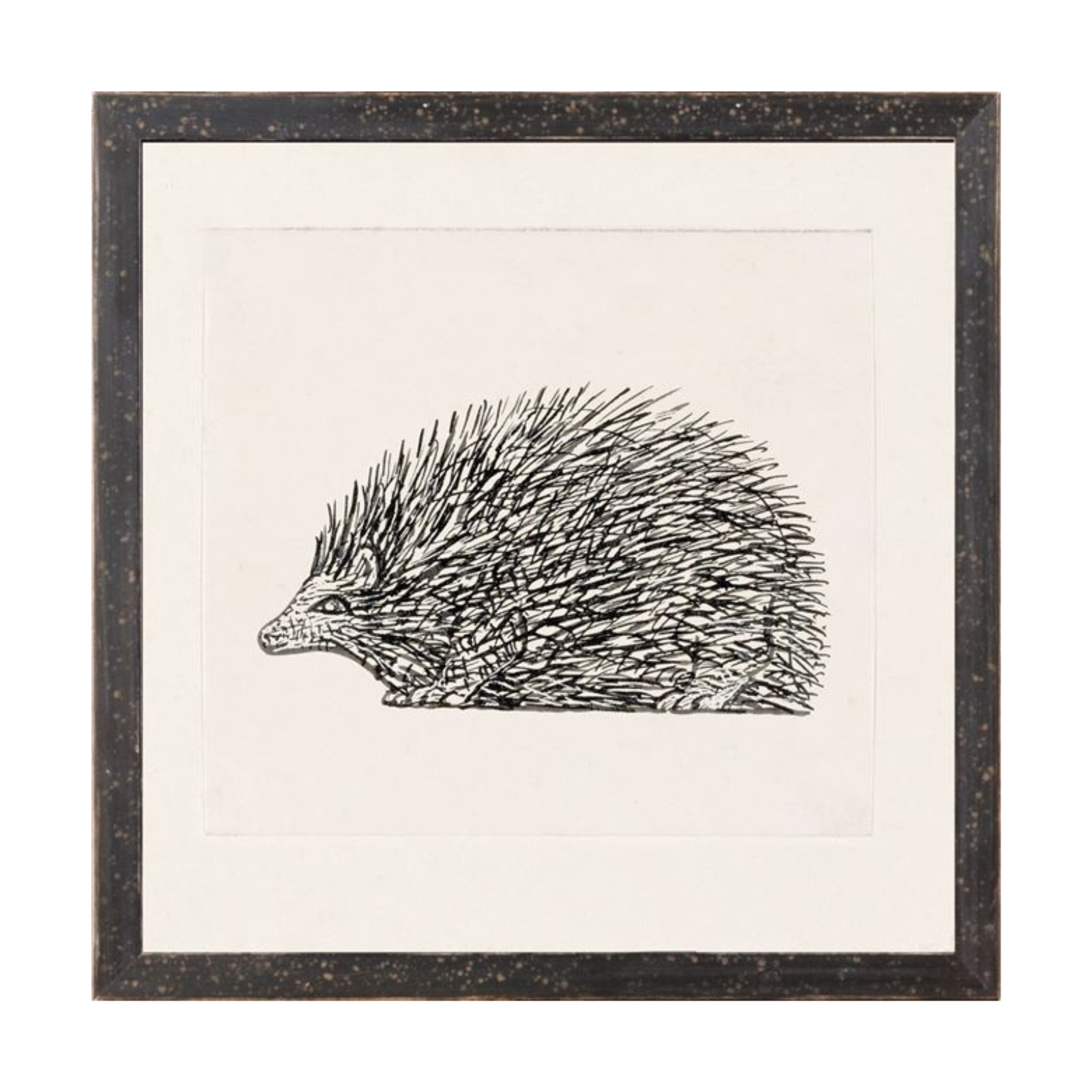 "Hand Drawn Hedgehog" Framed Art Print - Rug & Weave