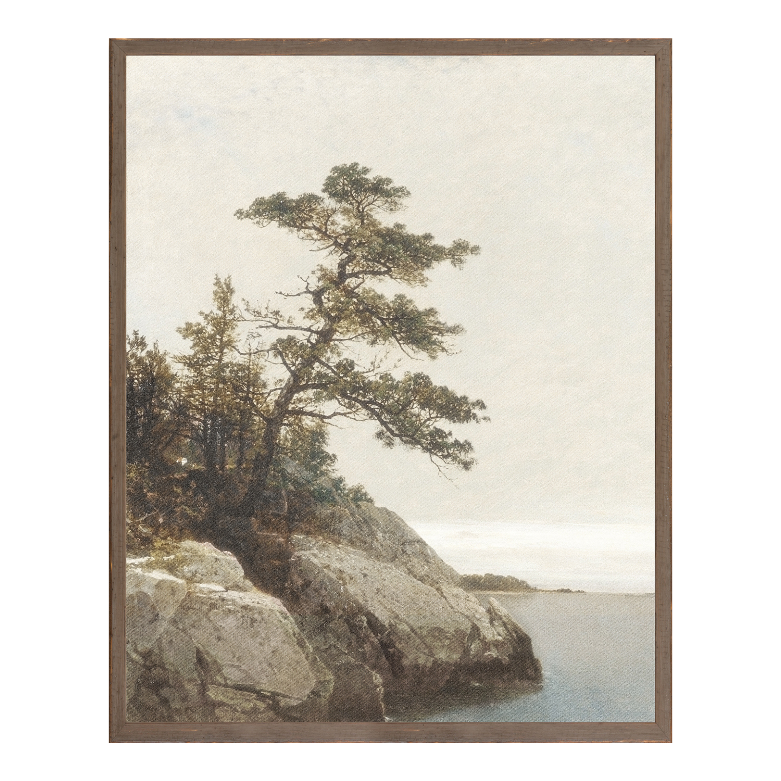 IN STORE - "Old Pines" Framed Art Print IN STORE - art Celadon Art